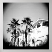 Zwarte en witte palm poster (Voorkant)