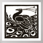 ZWARTE EN WITTE PAUW POSTER (Voorkant)