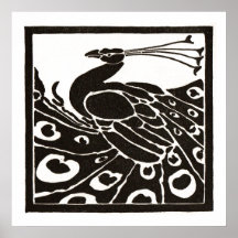 ZWARTE EN WITTE PAUW