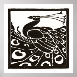 ZWARTE EN WITTE PAUW POSTER