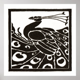 ZWARTE EN WITTE PEACOCK POSTER