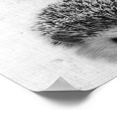 Zwarte en witte peekaboo Eegel minimalistisch urse Poster (Hoek)