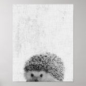 Zwarte en witte peekaboo Eegel minimalistisch urse Poster (Voorkant)