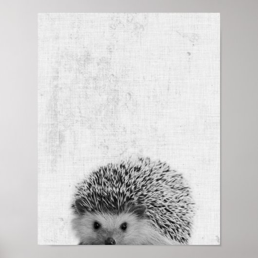 Zwarte en witte peekaboo Eegel minimalistisch urse Poster (Voorkant)