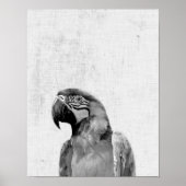 Zwarte en witte peekaboo Parrot minimalistische we Poster (Voorkant)