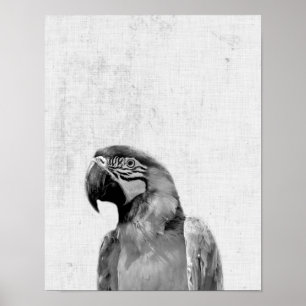 Zwarte en witte peekaboo Parrot minimalistische we Poster