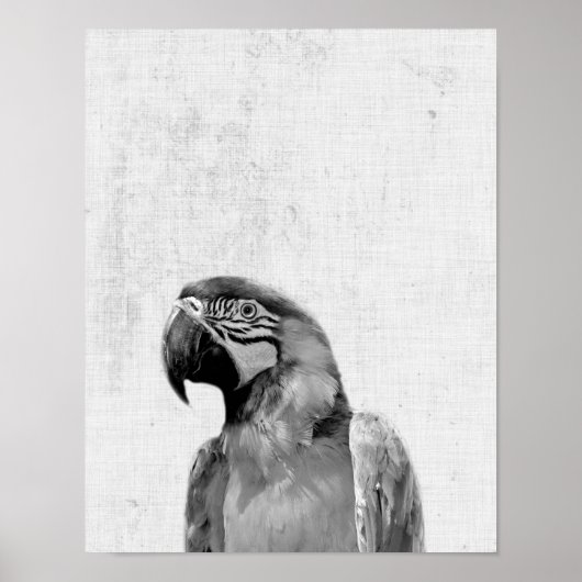 Zwarte en witte peekaboo Parrot minimalistische we Poster (Voorkant)
