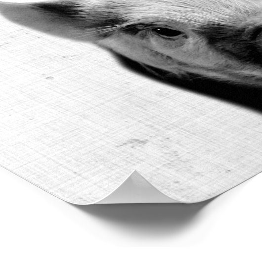 Zwarte en witte peekaboo Piglet minimalistische se Poster (Hoek)