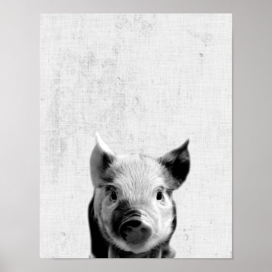 Zwarte en witte peekaboo Piglet minimalistische se Poster (Voorkant)