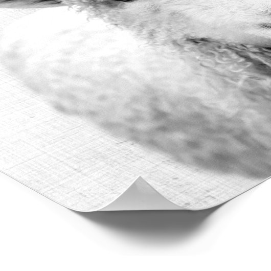 Zwarte en witte peekaboo-schapenminimalistische we poster (Hoek)