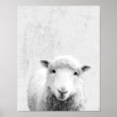 Zwarte en witte peekaboo-schapenminimalistische we poster (Voorkant)
