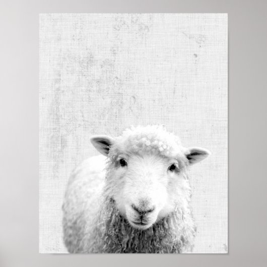 Zwarte en witte peekaboo-schapenminimalistische we poster (Voorkant)