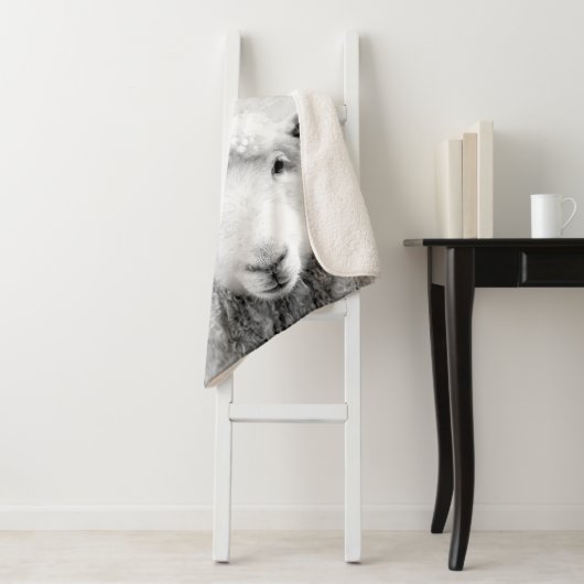 Zwarte en witte peekaboo-schapenminimalistische we sherpa deken (In situ)