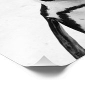 Zwarte en witte pinguïn foto afdruk (Hoek)