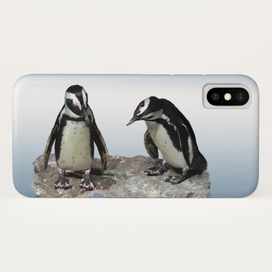 Zwarte en witte pinguïn iPhone 11 Hoesje (Achterkant (horizontaal))