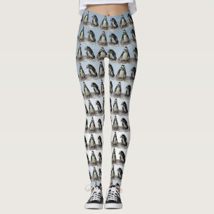 Zwarte en witte pinguïn op blauwe Leggings