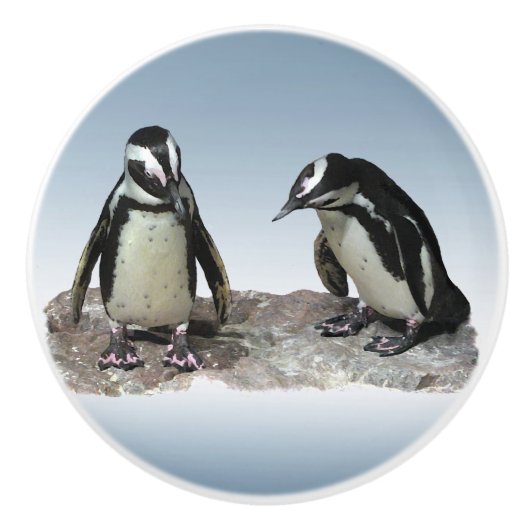 Zwarte en witte pinguïns Ceramic Knob Keramische Knop (Voorkant)