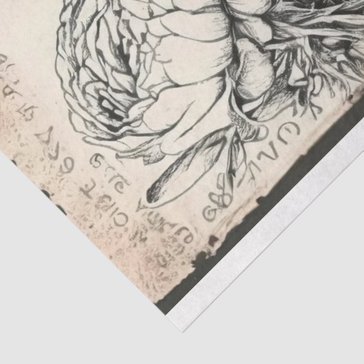 zwarte en witte pioenrozen en vlinder tissuepapier (Detail)