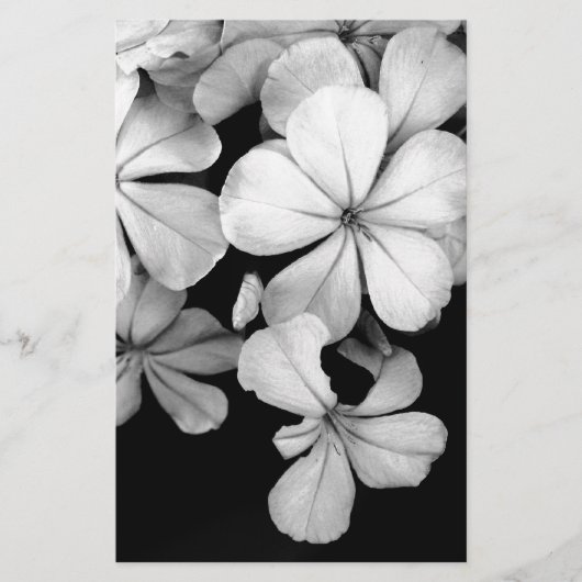 zwarte en witte Plumbago Briefpapier (Voorkant)