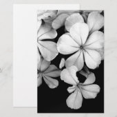 zwarte en witte Plumbago Briefpapier (Voorkant / Achterkant)