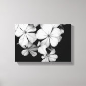 zwarte en witte Plumbago Canvas Afdruk (Voorkant)