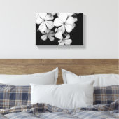 zwarte en witte Plumbago Canvas Afdruk (Insitu (Slaapkamer))