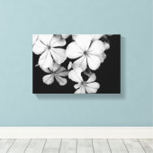 zwarte en witte Plumbago Canvas Afdruk (Insitu (Houten vloer))