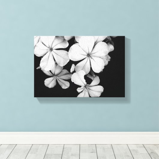 zwarte en witte Plumbago Canvas Afdruk (Insitu (Houten vloer))