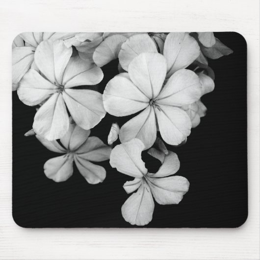 zwarte en witte Plumbago Muismat (Voorkant)