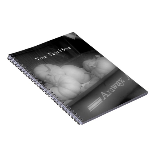 Zwarte en witte pompoenen in het Notitieboek van W (Rechterzijde)