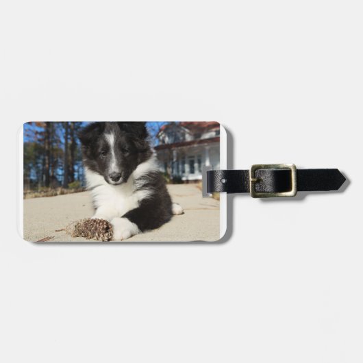 zwarte en witte puppy bagagelabel (Voorkant horizontaal)