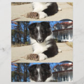 zwarte en witte puppy flyer (Voorkant)