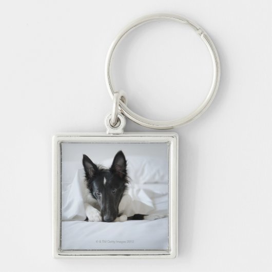 Zwarte en witte puppy in bed met bot sleutelhanger (Voorkant)