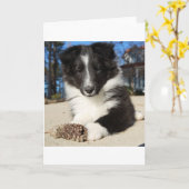 zwarte en witte puppy kaart (Gele Bloem)
