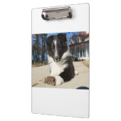 zwarte en witte puppy klembord (Links)