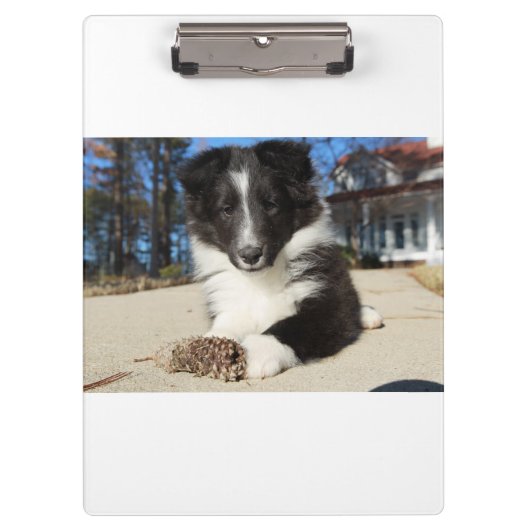 zwarte en witte puppy klembord (Voorkant)