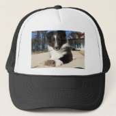 zwarte en witte puppy trucker pet (Voorkant)