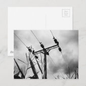 Zwarte en witte pylon briefkaart (Voorkant / Achterkant)