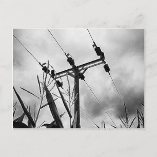 Zwarte en witte pylon briefkaart