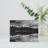 Zwarte en witte reflecties Postkaart (Staand voorkant)