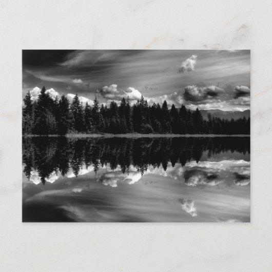 Zwarte en witte reflecties Postkaart (Voorkant)