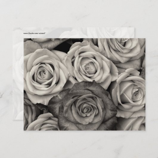zwarte en witte rozen Bouquet van Bloemen Briefkaart (Voorkant / Achterkant)