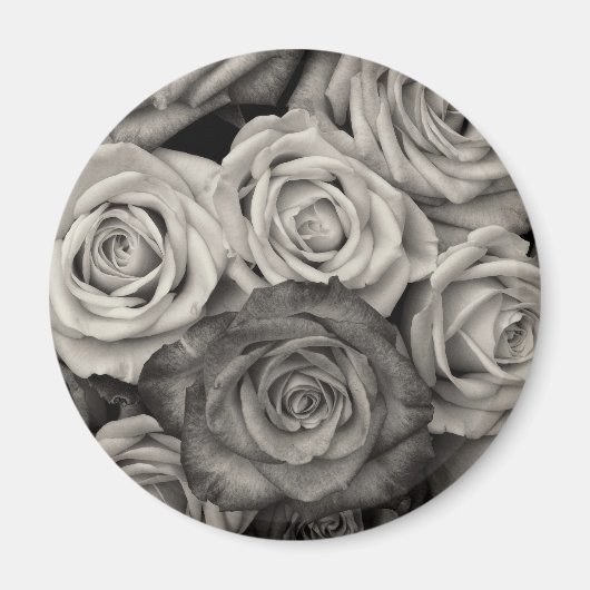  zwarte en witte rozen Bouquet van Bloemen Magneet (Voorkant)