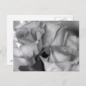 Zwarte en witte rozen briefkaart (Voorkant / Achterkant)