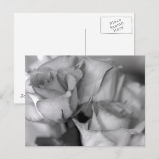 Zwarte en witte rozen briefkaart (Voorkant / Achterkant)