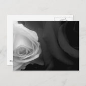 Zwarte en witte rozen briefkaart (Voorkant / Achterkant)