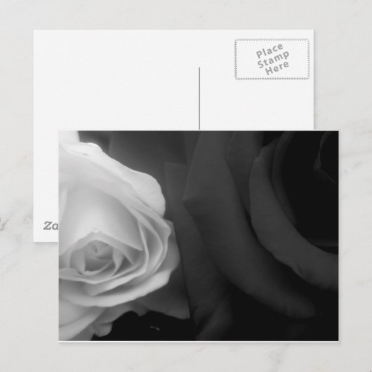 Zwarte en witte rozen briefkaart (Voorkant / Achterkant)