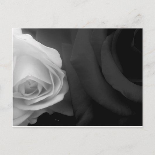 Zwarte en witte rozen briefkaart (Voorkant)