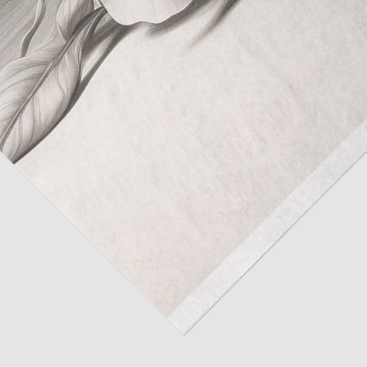 Zwarte en witte rozen in bloei tissuepapier (Detail)