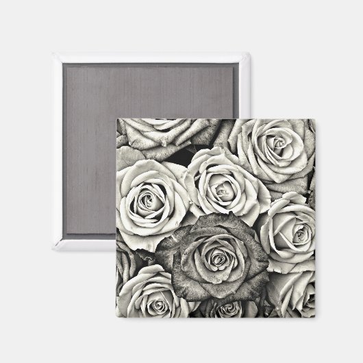 Zwarte en witte rozen magneet (Voorkant / Achterkant)